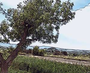 82938954_2852682904798401_7870575080848228352_n