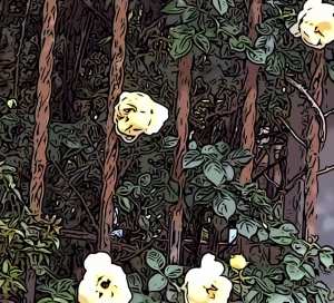 DE AQUELLOS POLVOS LLEGARON ESTOS LODOS