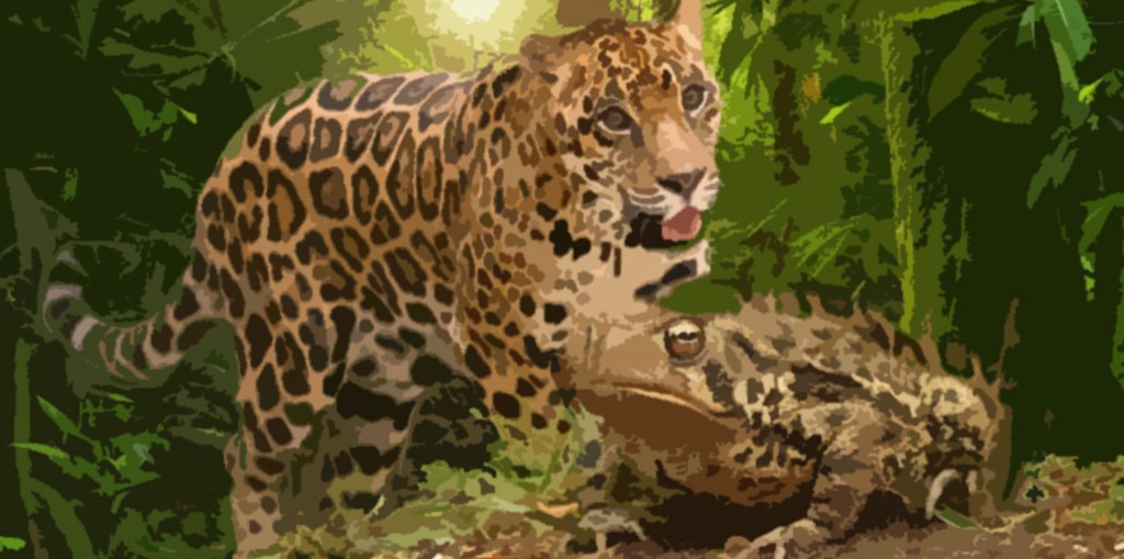 El sapo mágico, de Leyendas populares de&nbsp;Ecuador.