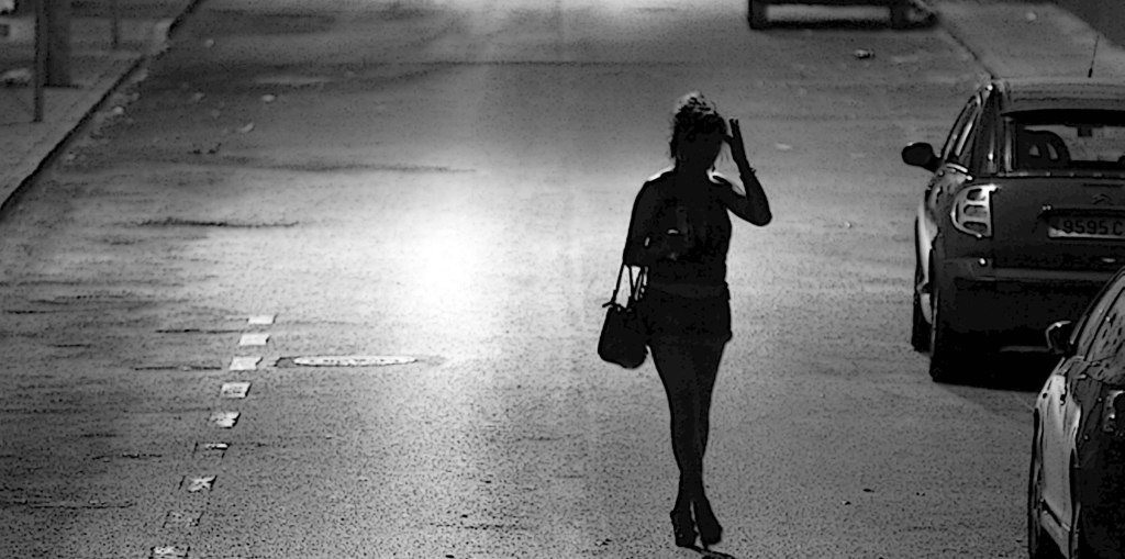 La prostituta autorizada o la esposa, de Patricia&nbsp;Higsmith