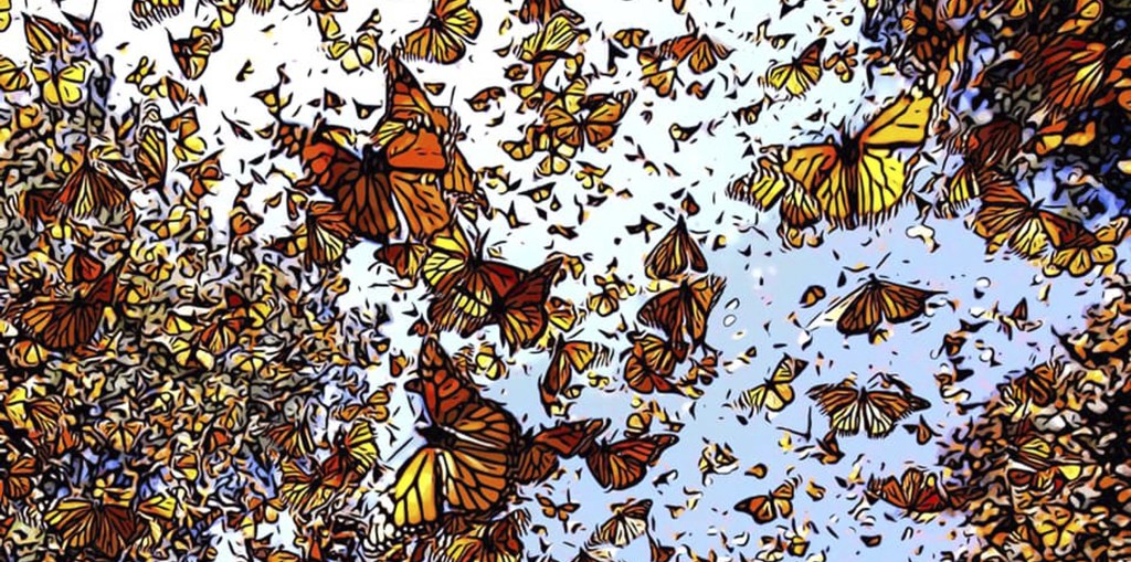 A Elsa no le gustan los gusanos, de Antonio&nbsp;Cruzans