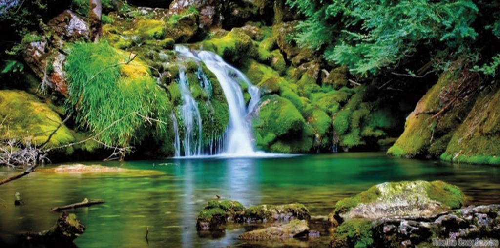 La salud: una cuestión de vida, por María Elena Picó&nbsp;Cruzans