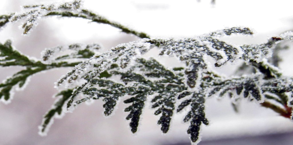 Escritos de mi memoria: Para papá, de Carmen Tomás&nbsp;Asensio.