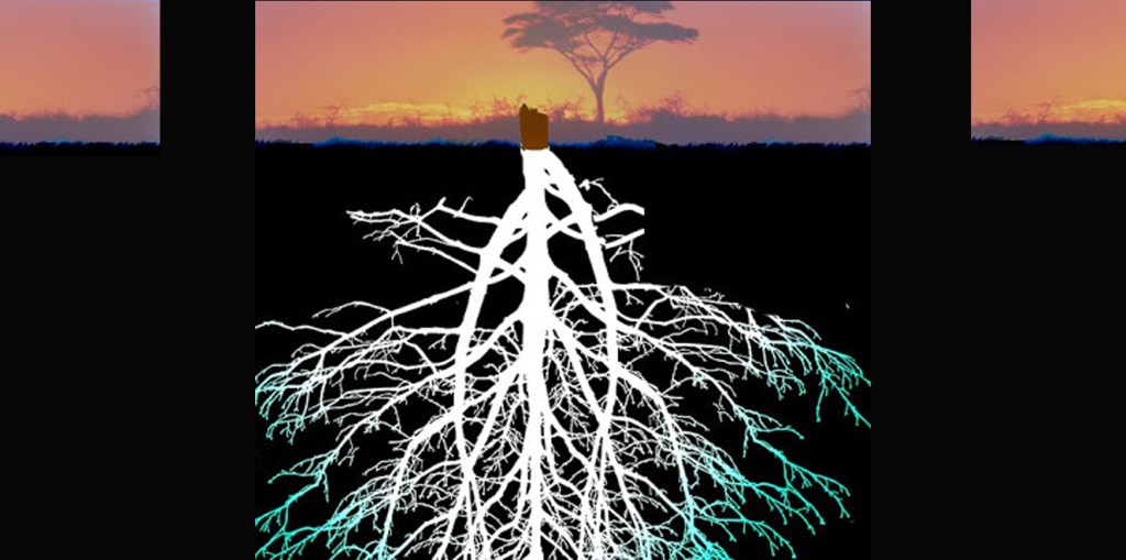 Grave, de María Elena Picó&nbsp;Cruzans.