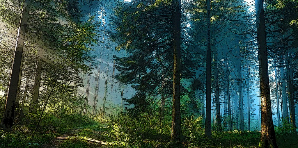 Escritos de mi memoria: El bosque mágico, de Carmen Tomás&nbsp;Asensio