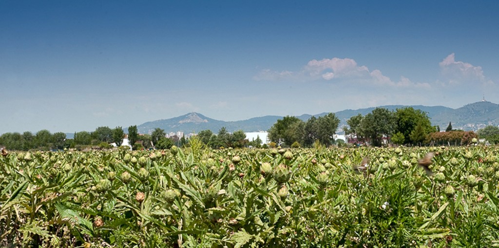Reflexiones en la bisagra: Limpia de pecados, a eso de las tres, de Vicent&nbsp;M.B.
