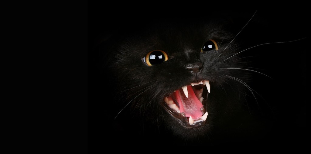 El gato negro, de Edgar Allan&nbsp;Poe