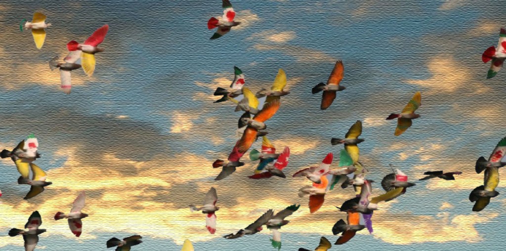 Quiero volar, de Antonio&nbsp;Cruzans