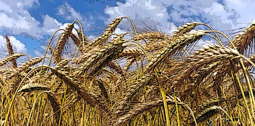 Alegoría de La lentitud, de Antonio&nbsp;Cruzans.